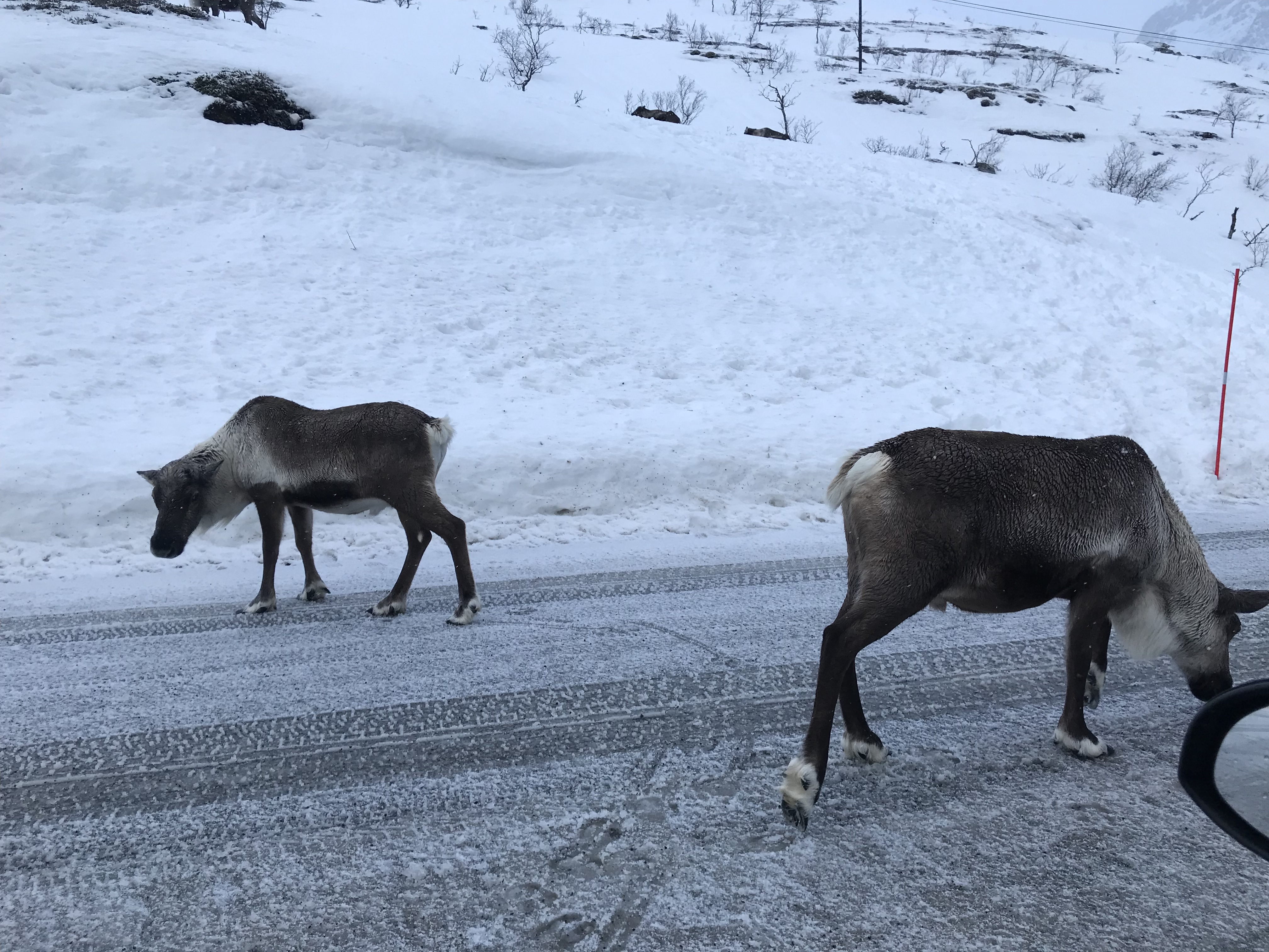 Dieses Bild hat ein leeres alt-Attribut; sein Dateiname ist img_6171.jpg.